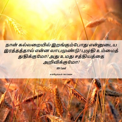Picture 06 - சங்கீதங்கள் 30:8 TAMIRV - நான் கல்லறையில் - Bible Verse Picture