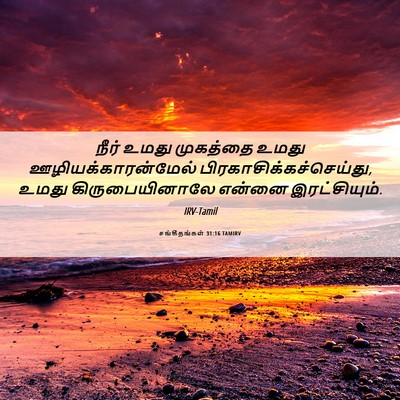 Picture 06 - சங்கீதங்கள் 31:16 TAMIRV - நீர் உமது முகத்தை - Bible Verse Picture