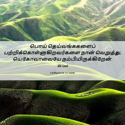 Picture 06 - சங்கீதங்கள் 31:6 TAMIRV - பொய் - Bible Verse Picture