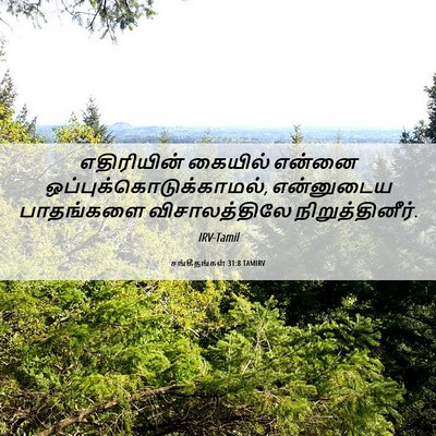Picture 06 - சங்கீதங்கள் 31:8 TAMIRV - எதிரியின் கையில் - Bible Verse Picture