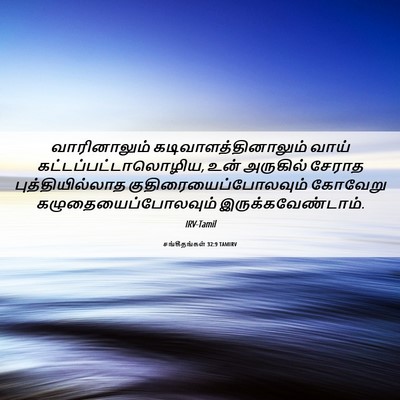 Picture 06 - சங்கீதங்கள் 32:9 TAMIRV - வாரினாலும் - Bible Verse Picture