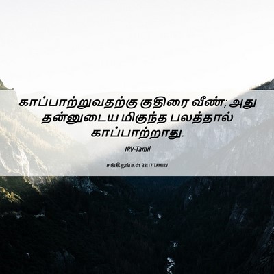 Picture 06 - சங்கீதங்கள் 33:17 TAMIRV - காப்பாற்றுவதற்கு - Bible Verse Picture