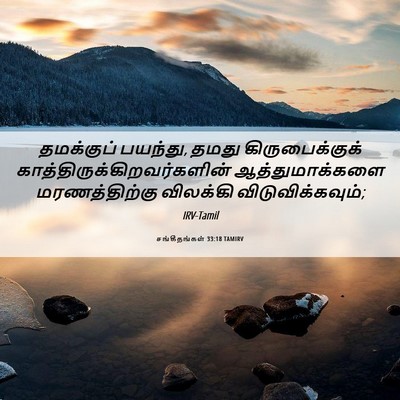 Picture 06 - சங்கீதங்கள் 33:18 TAMIRV - தமக்குப் பயந்து, - Bible Verse Picture