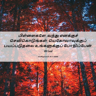 Picture 06 - சங்கீதங்கள் 34:11 TAMIRV - பிள்ளைகளே, வந்து - Bible Verse Picture