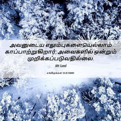 Picture 06 - சங்கீதங்கள் 34:20 TAMIRV - அவனுடைய - Bible Verse Picture