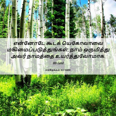 Picture 06 - சங்கீதங்கள் 34:3 TAMIRV - என்னோடே கூடக் - Bible Verse Picture