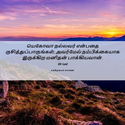 Picture 06 - சங்கீதங்கள் 34:8 TAMIRV - யெகோவா நல்லவர் - Bible Verse Picture