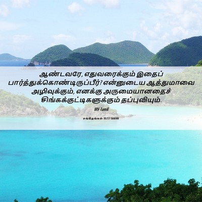 Picture 06 - சங்கீதங்கள் 35:17 TAMIRV - ஆண்டவரே, - Bible Verse Picture