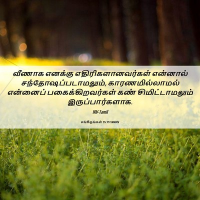 Picture 06 - சங்கீதங்கள் 35:19 TAMIRV - வீணாக எனக்கு - Bible Verse Picture