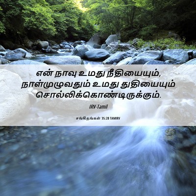 Picture 06 - சங்கீதங்கள் 35:28 TAMIRV - என் நாவு உமது - Bible Verse Picture