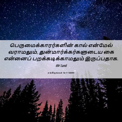 Picture 06 - சங்கீதங்கள் 36:11 TAMIRV -  - Bible Verse Picture