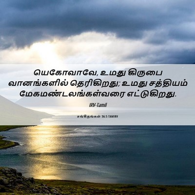 Picture 06 - சங்கீதங்கள் 36:5 TAMIRV - யெகோவாவே, உமது - Bible Verse Picture