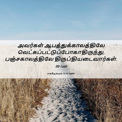 Picture 06 - சங்கீதங்கள் 37:19 TAMIRV - அவர்கள் - Bible Verse Picture