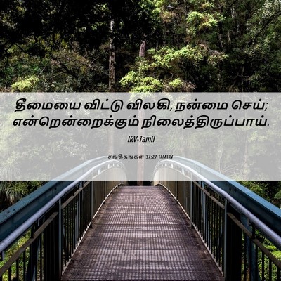 Picture 06 - சங்கீதங்கள் 37:27 TAMIRV - தீமையை விட்டு - Bible Verse Picture