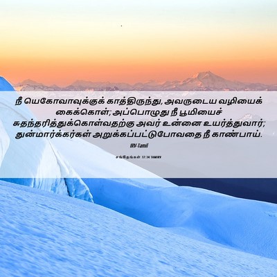 Picture 06 - சங்கீதங்கள் 37:34 TAMIRV - நீ யெகோவாவுக்குக் - Bible Verse Picture