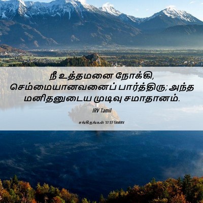 Picture 06 - சங்கீதங்கள் 37:37 TAMIRV - நீ உத்தமனை நோக்கி, - Bible Verse Picture