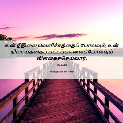 Picture 06 - சங்கீதங்கள் 37:6 TAMIRV - உன் நீதியை - Bible Verse Picture