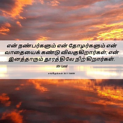 Picture 06 - சங்கீதங்கள் 38:11 TAMIRV - என் நண்பர்களும் - Bible Verse Picture