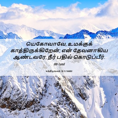 Picture 06 - சங்கீதங்கள் 38:15 TAMIRV - யெகோவாவே, - Bible Verse Picture