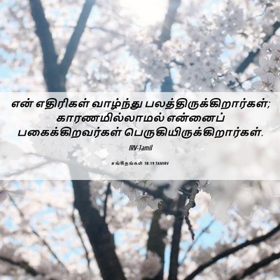 Picture 06 - சங்கீதங்கள் 38:19 TAMIRV - என் எதிரிகள் - Bible Verse Picture