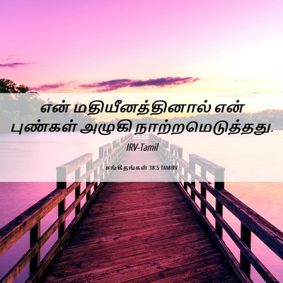Picture 06 - சங்கீதங்கள் 38:5 TAMIRV - என் - Bible Verse Picture