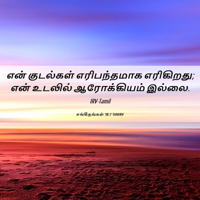 Picture 06 - சங்கீதங்கள் 38:7 TAMIRV - என் குடல்கள் - Bible Verse Picture