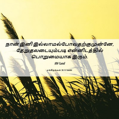 Picture 06 - சங்கீதங்கள் 39:13 TAMIRV - நான் இனி - Bible Verse Picture