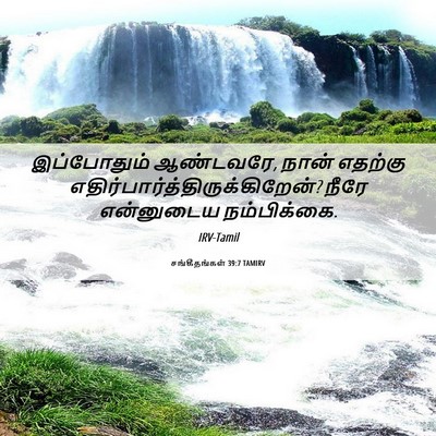 Picture 06 - சங்கீதங்கள் 39:7 TAMIRV - இப்போதும் - Bible Verse Picture