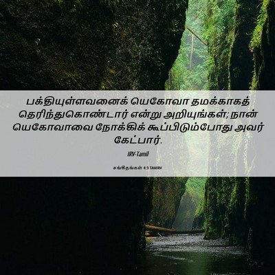 Picture 06 - சங்கீதங்கள் 4:3 TAMIRV - பக்தியுள்ளவனைக் - Bible Verse Picture