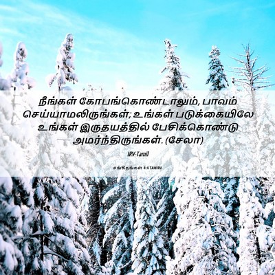 Picture 06 - சங்கீதங்கள் 4:4 TAMIRV - நீங்கள் - Bible Verse Picture