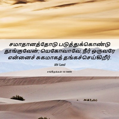 Picture 06 - சங்கீதங்கள் 4:8 TAMIRV - சமாதானத்தோடு - Bible Verse Picture