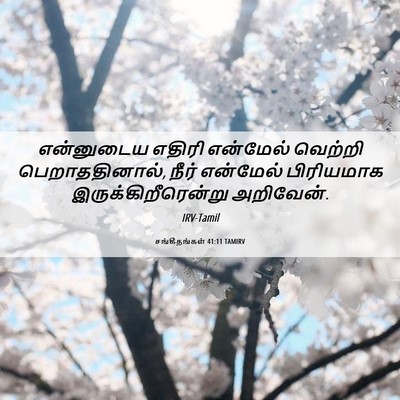 Picture 06 - சங்கீதங்கள் 41:11 TAMIRV - என்னுடைய எதிரி - Bible Verse Picture