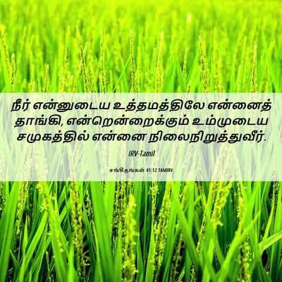 Picture 06 - சங்கீதங்கள் 41:12 TAMIRV - நீர் என்னுடைய - Bible Verse Picture
