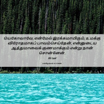 Picture 06 - சங்கீதங்கள் 41:4 TAMIRV - யெகோவாவே, என்மேல் - Bible Verse Picture