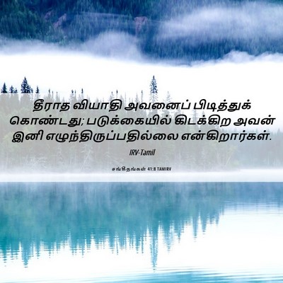 Picture 06 - சங்கீதங்கள் 41:8 TAMIRV - தீராத வியாதி - Bible Verse Picture