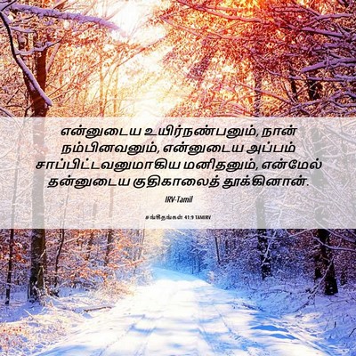Picture 06 - சங்கீதங்கள் 41:9 TAMIRV - என்னுடைய - Bible Verse Picture