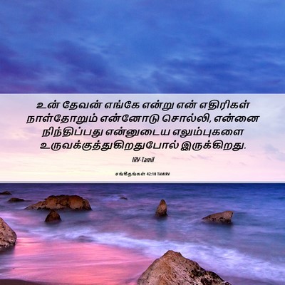 Picture 06 - சங்கீதங்கள் 42:10 TAMIRV - உன் தேவன் எங்கே - Bible Verse Picture