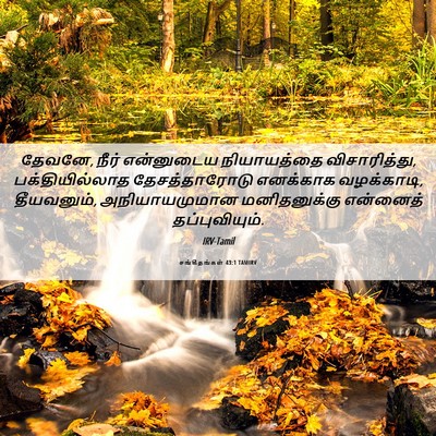 Picture 06 - சங்கீதங்கள் 43:1 TAMIRV - தேவனே, நீர் - Bible Verse Picture