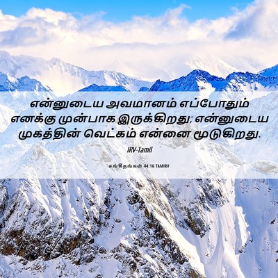 Picture 06 - சங்கீதங்கள் 44:16 TAMIRV - என்னுடைய அவமானம் - Bible Verse Picture