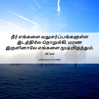 Picture 06 - சங்கீதங்கள் 44:18 TAMIRV - நீர் எங்களை - Bible Verse Picture