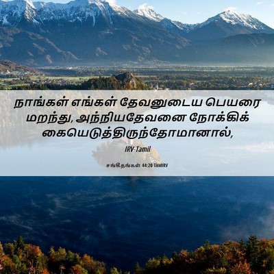 Picture 06 - சங்கீதங்கள் 44:20 TAMIRV - நாங்கள் எங்கள் - Bible Verse Picture
