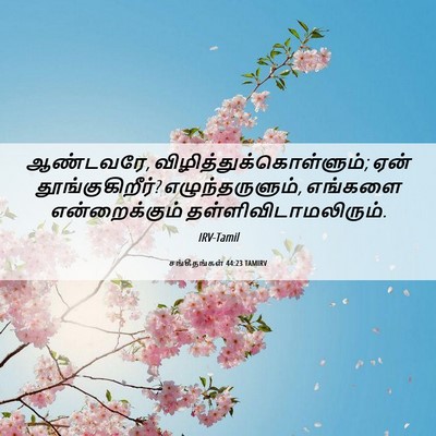 Picture 06 - சங்கீதங்கள் 44:23 TAMIRV - ஆண்டவரே, - Bible Verse Picture