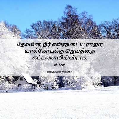 Picture 06 - சங்கீதங்கள் 44:4 TAMIRV - தேவனே, நீர் - Bible Verse Picture