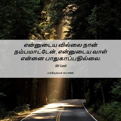 Picture 06 - சங்கீதங்கள் 44:6 TAMIRV - என்னுடைய வில்லை - Bible Verse Picture