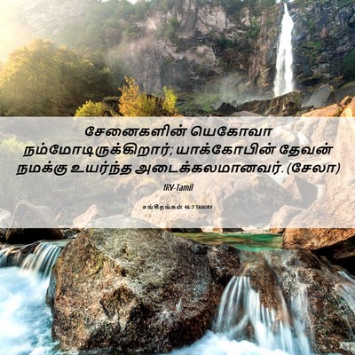 Picture 06 - சங்கீதங்கள் 46:7 TAMIRV - சேனைகளின் யெகோவா - Bible Verse Picture