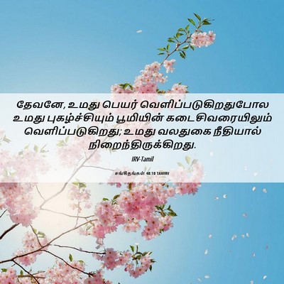 Picture 06 - சங்கீதங்கள் 48:10 TAMIRV - தேவனே, உமது பெயர் - Bible Verse Picture