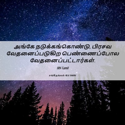 Picture 06 - சங்கீதங்கள் 48:6 TAMIRV - அங்கே - Bible Verse Picture