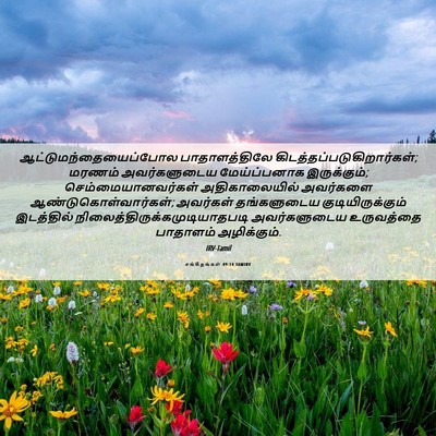 Picture 06 - சங்கீதங்கள் 49:14 TAMIRV -  - Bible Verse Picture
