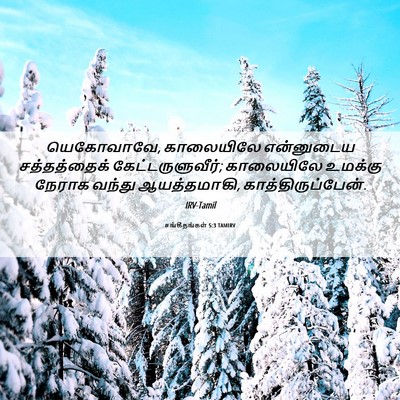 Picture 06 - சங்கீதங்கள் 5:3 TAMIRV - யெகோவாவே, - Bible Verse Picture