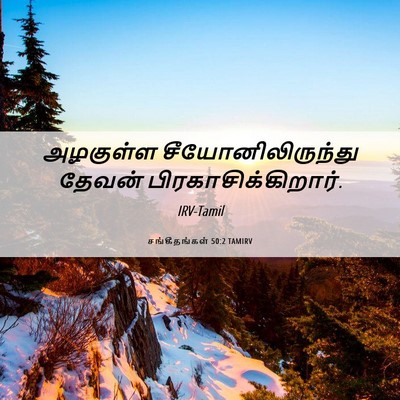 Picture 06 - சங்கீதங்கள் 50:2 TAMIRV - அழகுள்ள - Bible Verse Picture